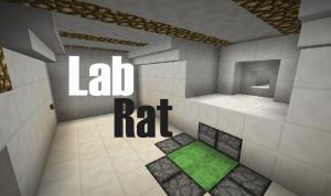 Lab Rat